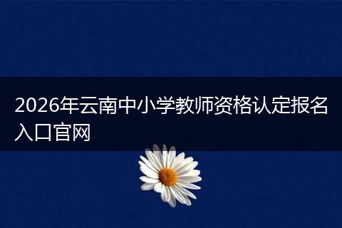 2026年云南中小学教师资格认定报名入口官网