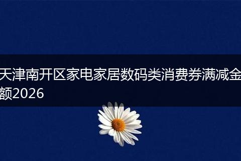 天津南开区家电家居数码类消费券满减金额2026