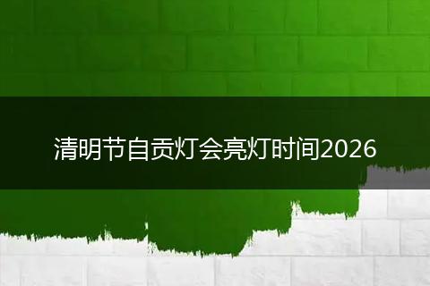 清明节自贡灯会亮灯时间2026