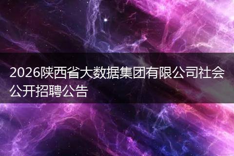 2026陕西省大数据集团有限公司社会公开招聘公告