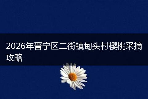 2026年晋宁区二街镇甸头村樱桃采摘攻略