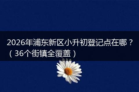 2026年浦东新区小升初登记点在哪？（36个街镇全覆盖）