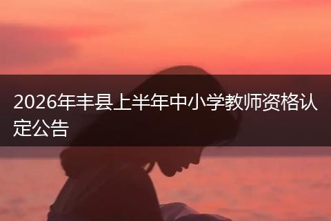 2026年丰县上半年中小学教师资格认定公告