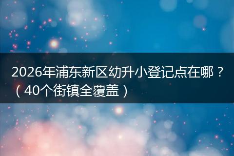 2026年浦东新区幼升小登记点在哪？（40个街镇全覆盖）
