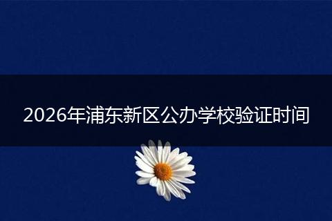 2026年浦东新区公办学校验证时间