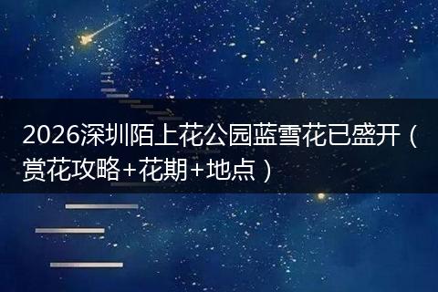 2026深圳陌上花公园蓝雪花已盛开（赏花攻略+花期+地点）