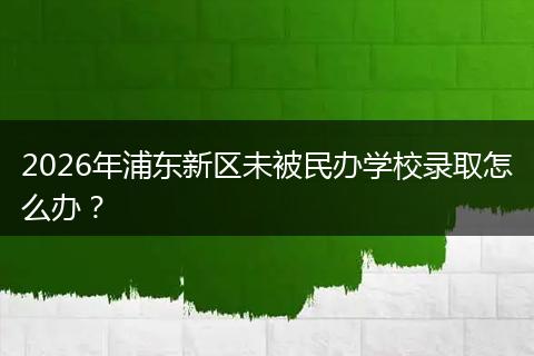 2026年浦东新区未被民办学校录取怎么办？