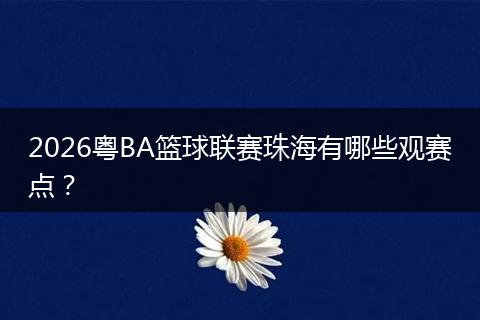2026粤BA篮球联赛珠海有哪些观赛点？