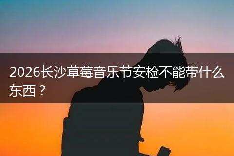 2026长沙草莓音乐节安检不能带什么东西？