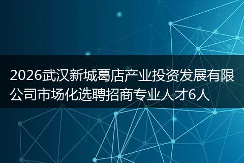 2026武汉新城葛店产业投资发展有限公司市场化选聘招商专业人才6人