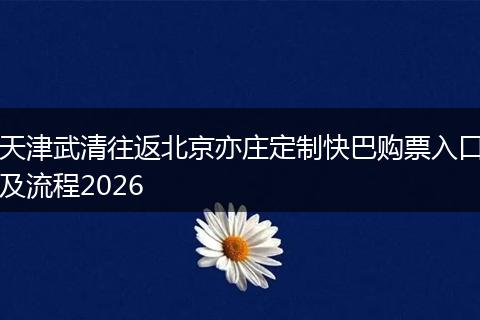 天津武清往返北京亦庄定制快巴购票入口及流程2026