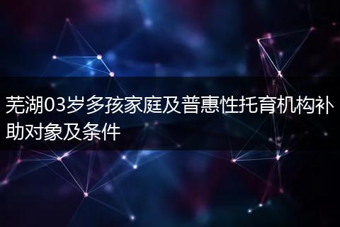 芜湖03岁多孩家庭及普惠性托育机构补助对象及条件