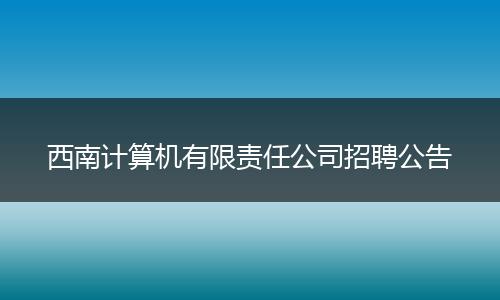 西南计算机有限责任公司招聘公告
