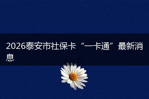 2026泰安市社保卡“一卡通”最新消息