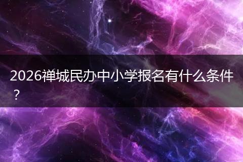 2026禅城民办中小学报名有什么条件？