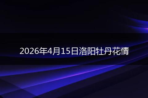 2026年4月15日洛阳牡丹花情