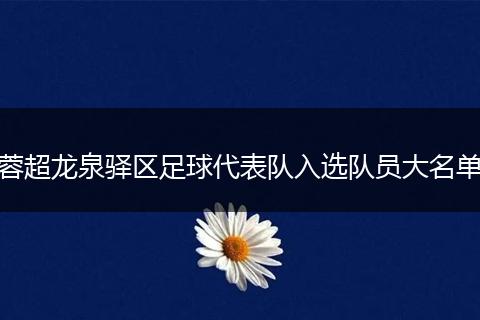 蓉超龙泉驿区足球代表队入选队员大名单