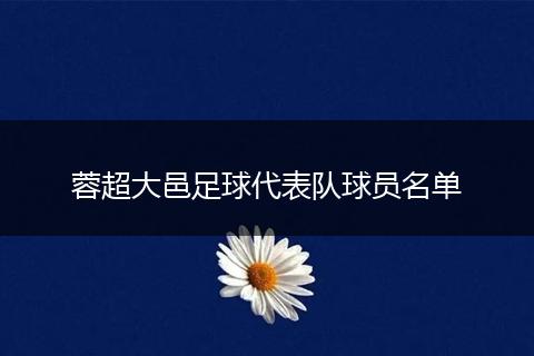 蓉超大邑足球代表队球员名单