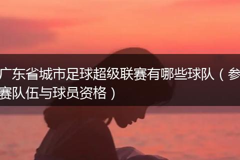 广东省城市足球超级联赛有哪些球队（参赛队伍与球员资格）
