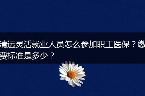 清远灵活就业人员怎么参加职工医保？缴费标准是多少？