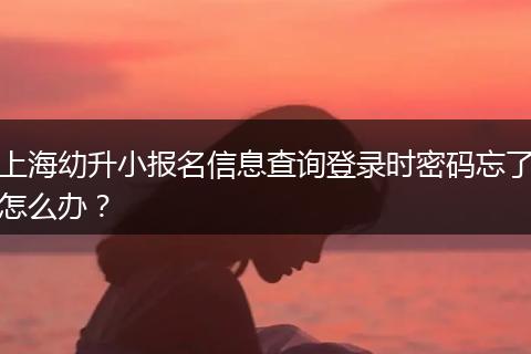 上海幼升小报名信息查询登录时密码忘了怎么办？