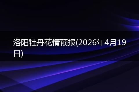 洛阳牡丹花情预报(2026年4月19日)
