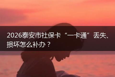 2026泰安市社保卡“一卡通”丢失、损坏怎么补办？