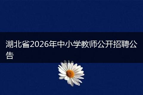 湖北省2026年中小学教师公开招聘公告