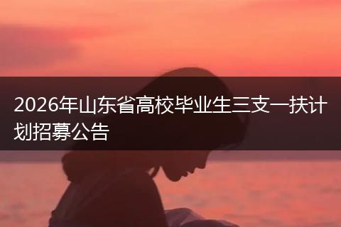 2026年山东省高校毕业生三支一扶计划招募公告