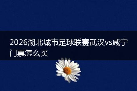 2026湖北城市足球联赛武汉vs咸宁门票怎么买