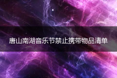 唐山南湖音乐节禁止携带物品清单