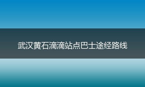 武汉黄石滴滴站点巴士途经路线
