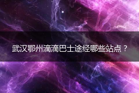 武汉鄂州滴滴巴士途经哪些站点？