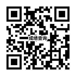 2026年湖南上半年中小学教师资格考试（笔试）成绩查询网站https___ntce.neea.edu.cn