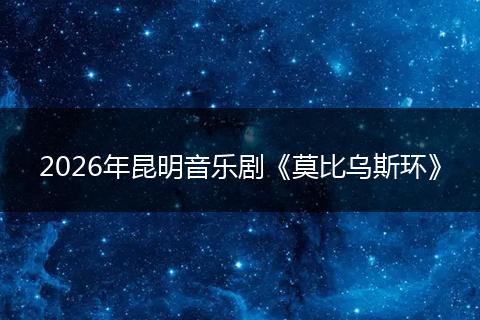 2026年昆明音乐剧《莫比乌斯环》