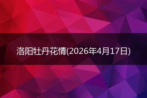 洛阳牡丹花情(2026年4月17日)
