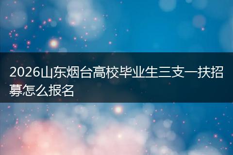 2026山东烟台高校毕业生三支一扶招募怎么报名
