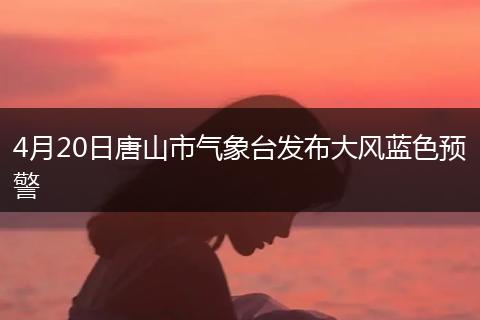 4月20日唐山市气象台发布大风蓝色预警