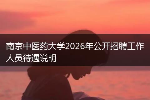 南京中医药大学2026年公开招聘工作人员待遇说明