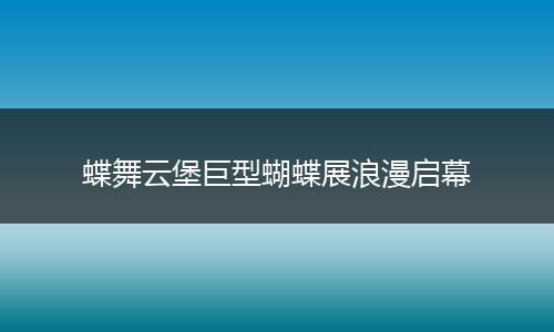 蝶舞云堡巨型蝴蝶展浪漫启幕