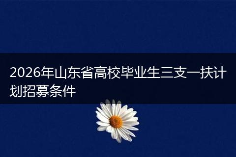 2026年山东省高校毕业生三支一扶计划招募条件