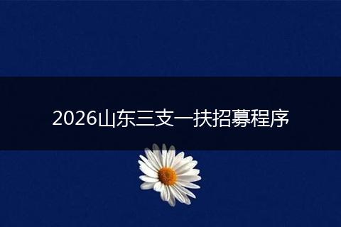 2026山东三支一扶招募程序
