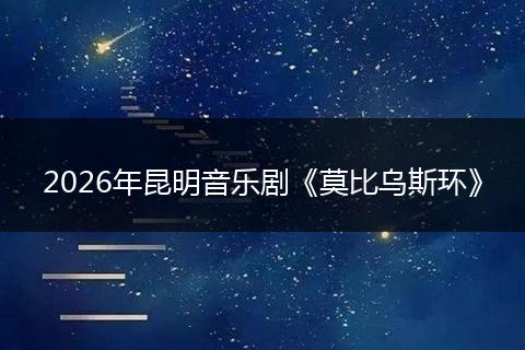 2026年昆明音乐剧《莫比乌斯环》