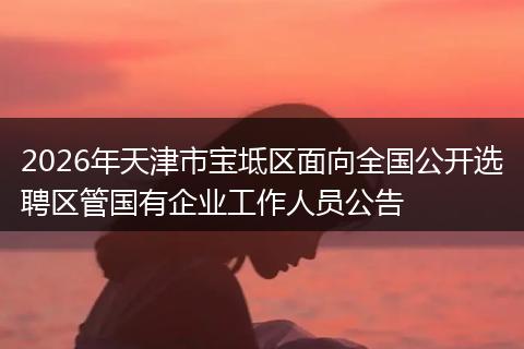 2026年天津市宝坻区面向全国公开选聘区管国有企业工作人员公告
