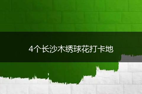 4个长沙木绣球花打卡地