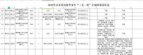 2026年泰安市”三支一扶”计划招募岗位表
