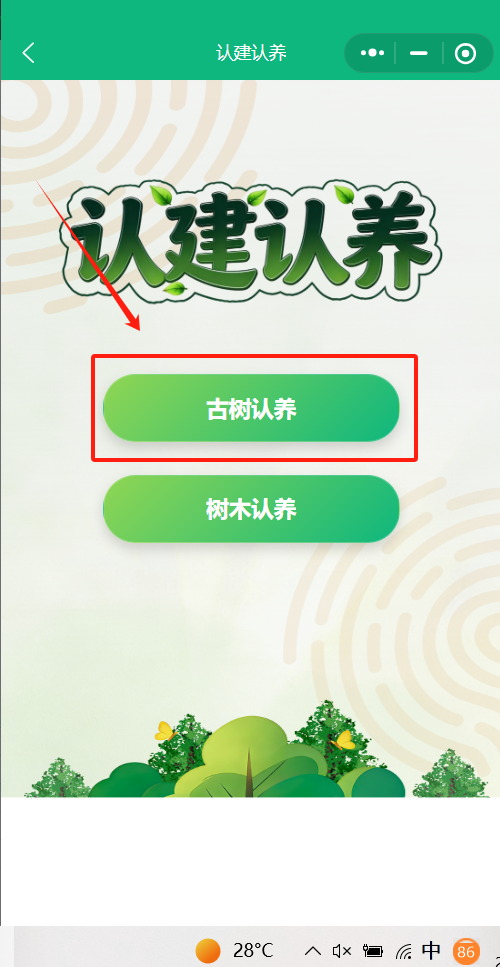2026北京市属公园古树认养价格查询指南（附入口）