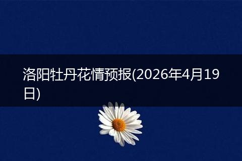 洛阳牡丹花情预报(2026年4月19日)