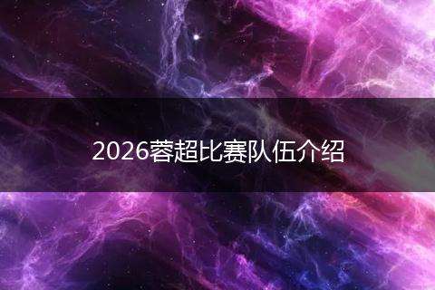 2026蓉超比赛队伍介绍