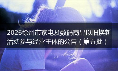 2026徐州市家电及数码商品以旧换新活动参与经营主体的公告（第五批）